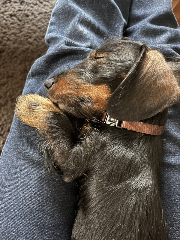 [Image: IMG-1805.jpg]