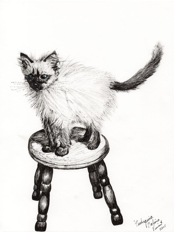 Vincent-Alexander-Booth-Pudsquiz-Belina-2015-ink-on-paper-Meister-Drucke-371518