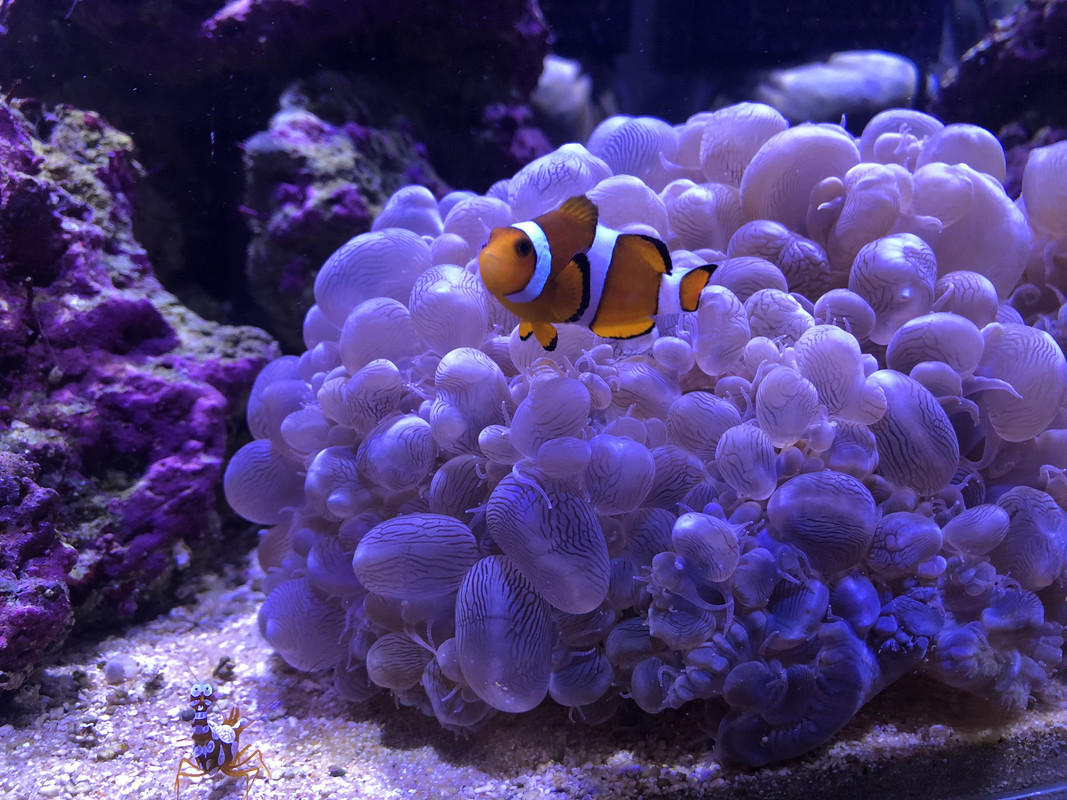 9590908A-08FB-4A5E-A053-DC06FFCE2891