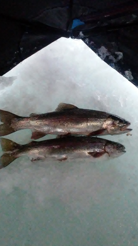 20190227_070307