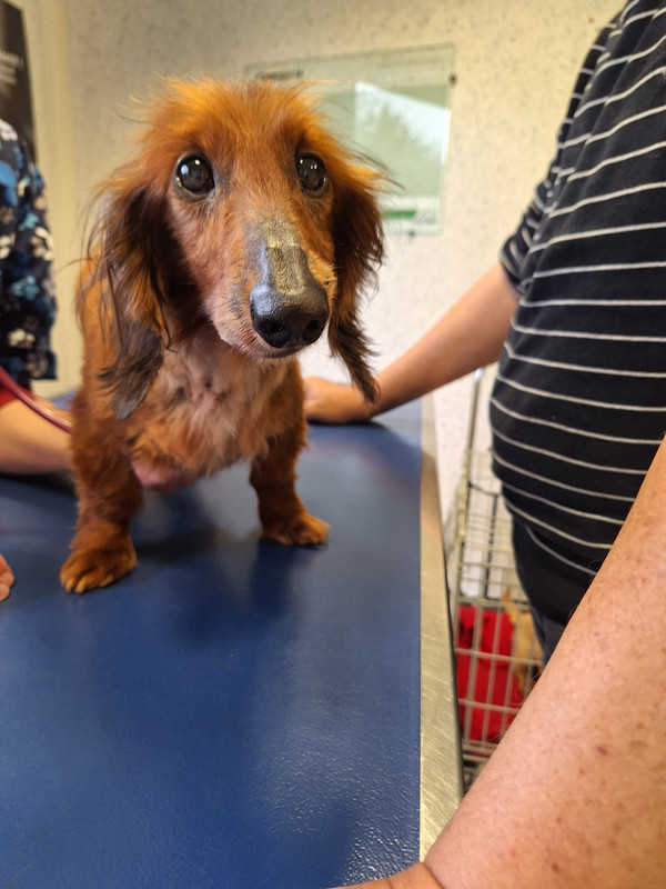 [Image: 20240419-172844.jpg]