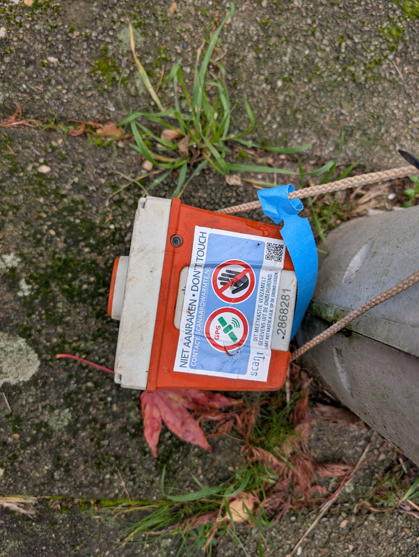 Трое в Амстердаме, не считая собаки. Переезд в Нидерланды.