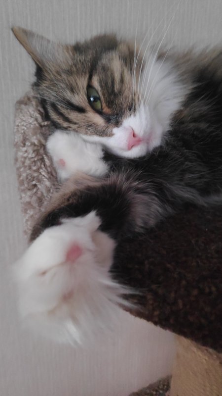 IMG_20220519_201553_1