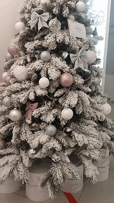 Soloop-20220103182027.gif