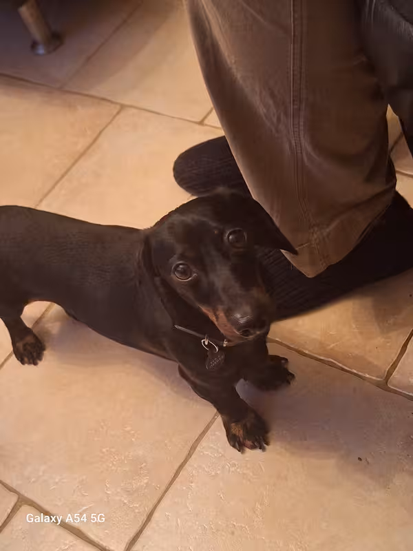 [Image: 20241029-203934.avif]