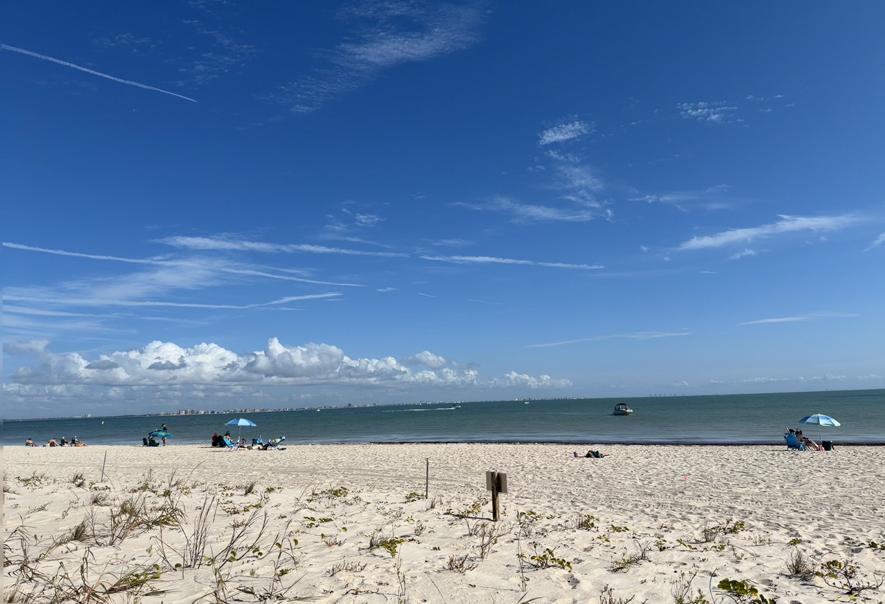 [Image: Sanibel-Beach-B4.png]