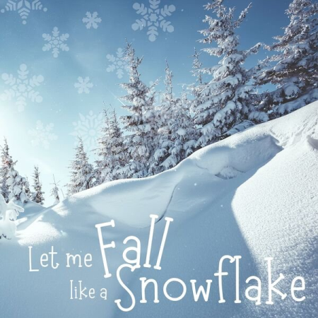 b59a7ac1 b03b 459f a076 bb642de65021 - VA - Let me Fall Like a Snowflake (2022)