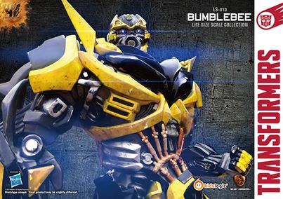 10325217_10152021993667610_6515040113713365150_n