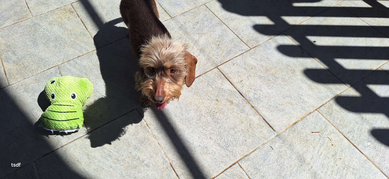 [Image: 20250513-113852.jpg]