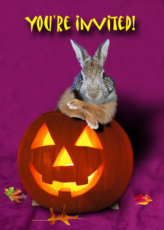 [Image: youre-invited-halloween-bunny-rabbit-jeanette-k.jpg]