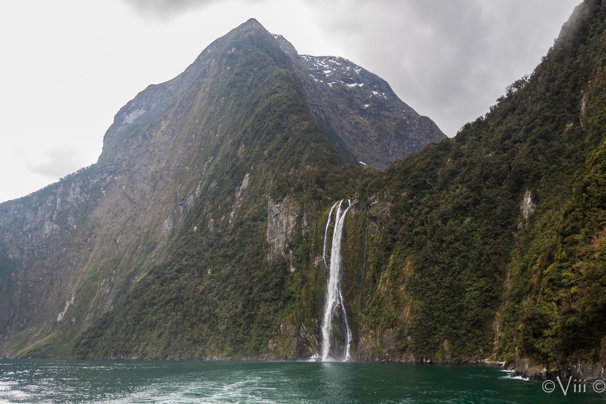 Día 12. Milford Sound & Key Summit. Noche en Manapouri - Nueva Zelanda/Islas Cook - Viaje de novios a la Tierra Media (6)