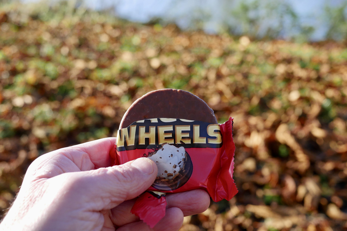 B36E86B5-A5DD-4B5A-B021-4C5F46A36FB6