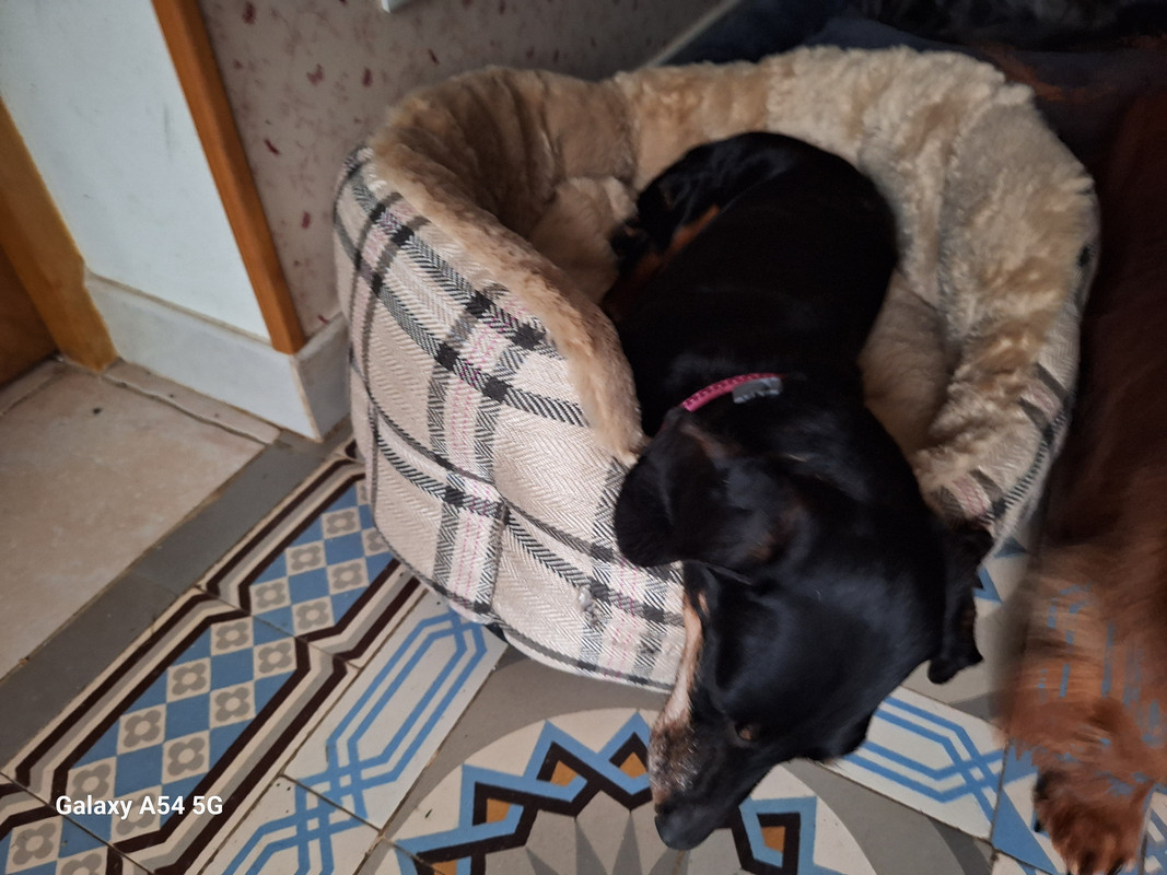 [Image: 20240629-211059.jpg]