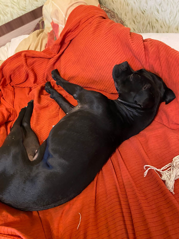 C9ED51A2-C492-4D84-A7A1-E2743938936A