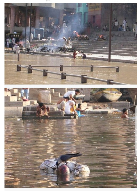 Screenshot 20200213 203200 Chrome 01