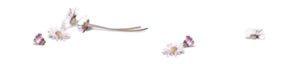 TADD_elements_LastDanceInParis (119)