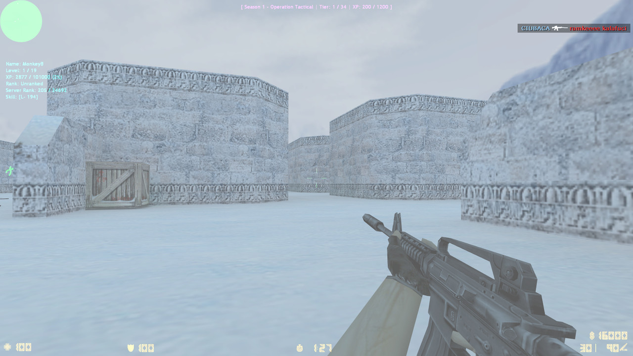 fy snow0000