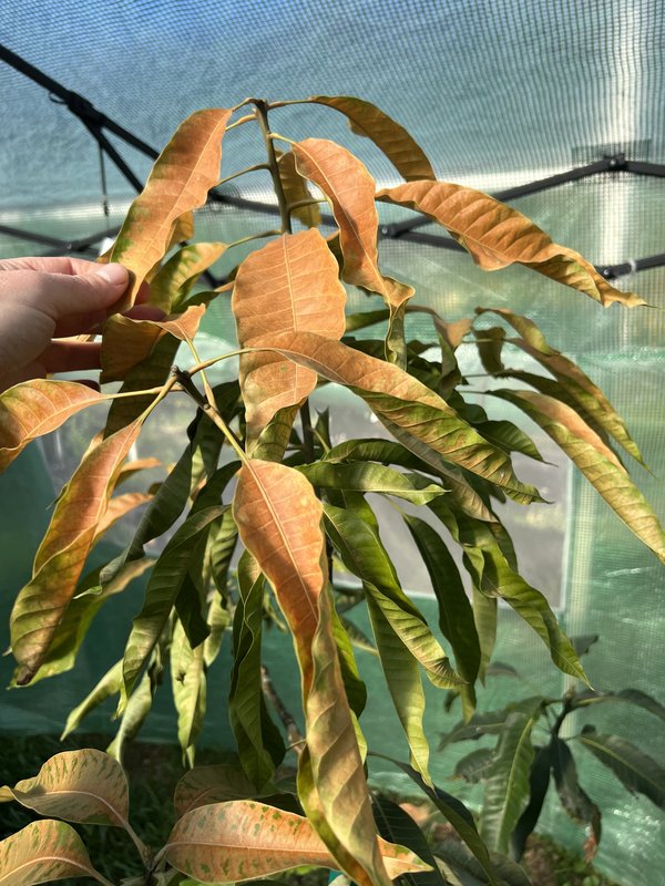 13AF53C0-3FD6-40A8-924E-CB385E258F86