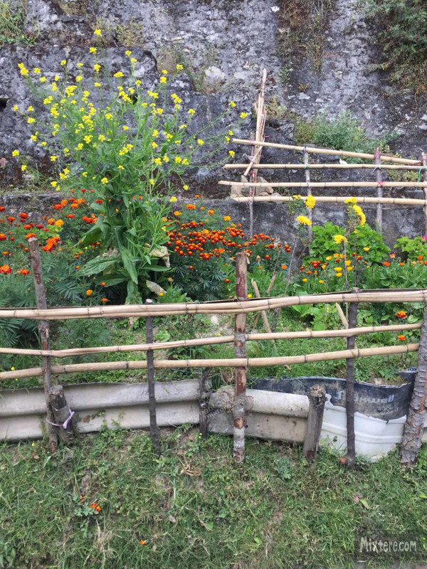 BBG&B17TezpurToBomdila - 10