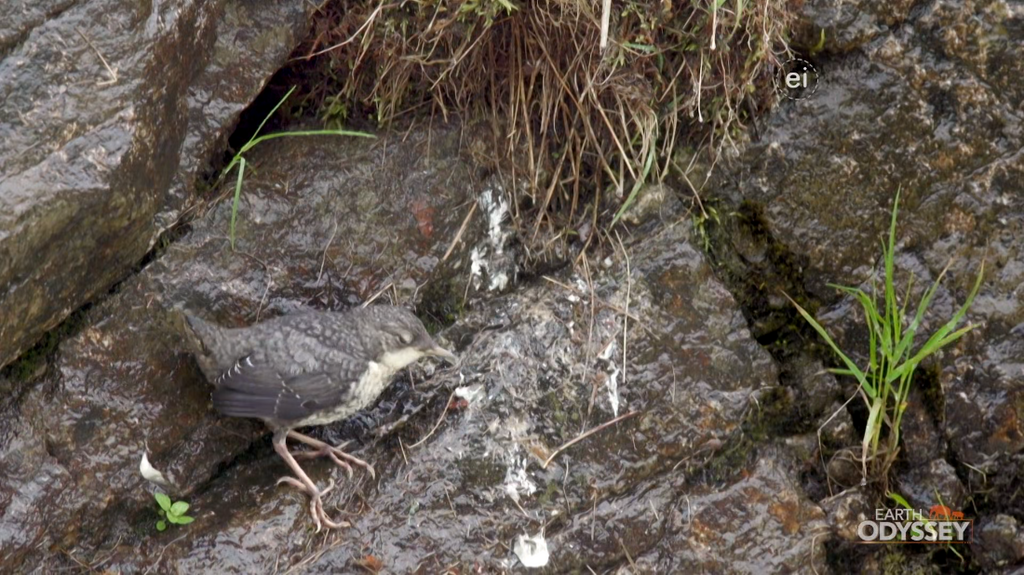 [Image: ri7sp1zukl87.png]