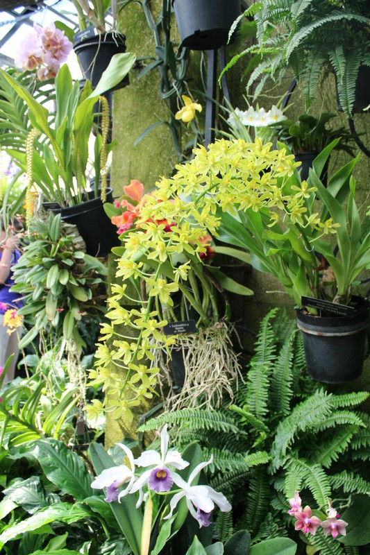 CF00B042-B352-477A-9651-20E315C718EC