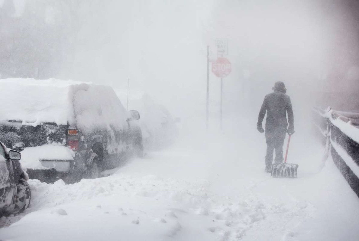 Niña perdida sobrevive a tormenta de nieve tras entrar a casa de perro y dormir con él