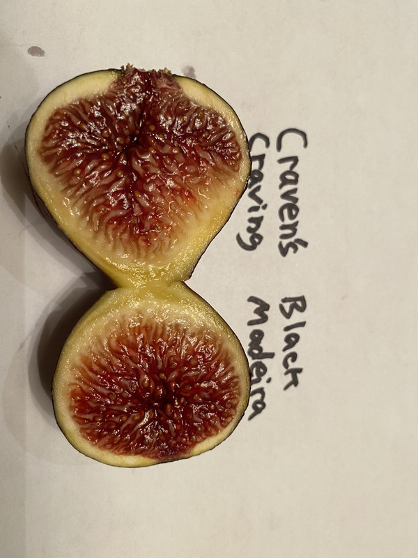 0A8980AD-5C2B-49B9-B2B3-FEA6769C0061