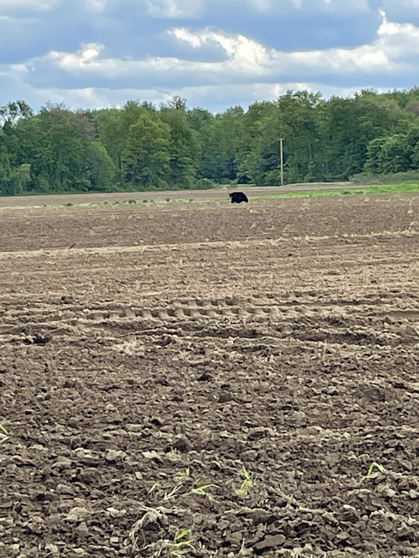 E39E84D7-EA81-4F21-89DF-D4A5A93D7FB9