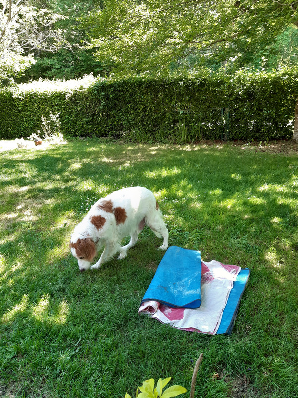 [Image: 20210613-124037.jpg]