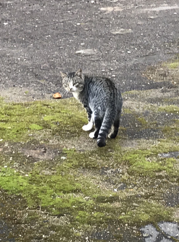 BFD2860B-3467-40DE-A431-185D38DD2363