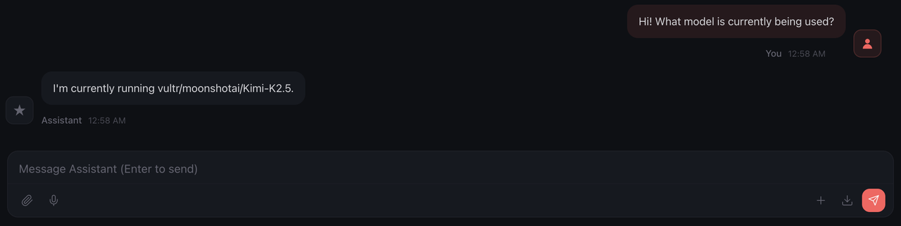 Vultr Kimi-K2.5 Model Response