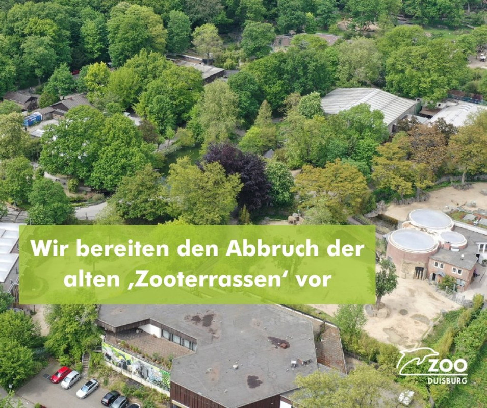20250121-Zoo-Duisburg-Zooterrassen-Neu-1.jpg