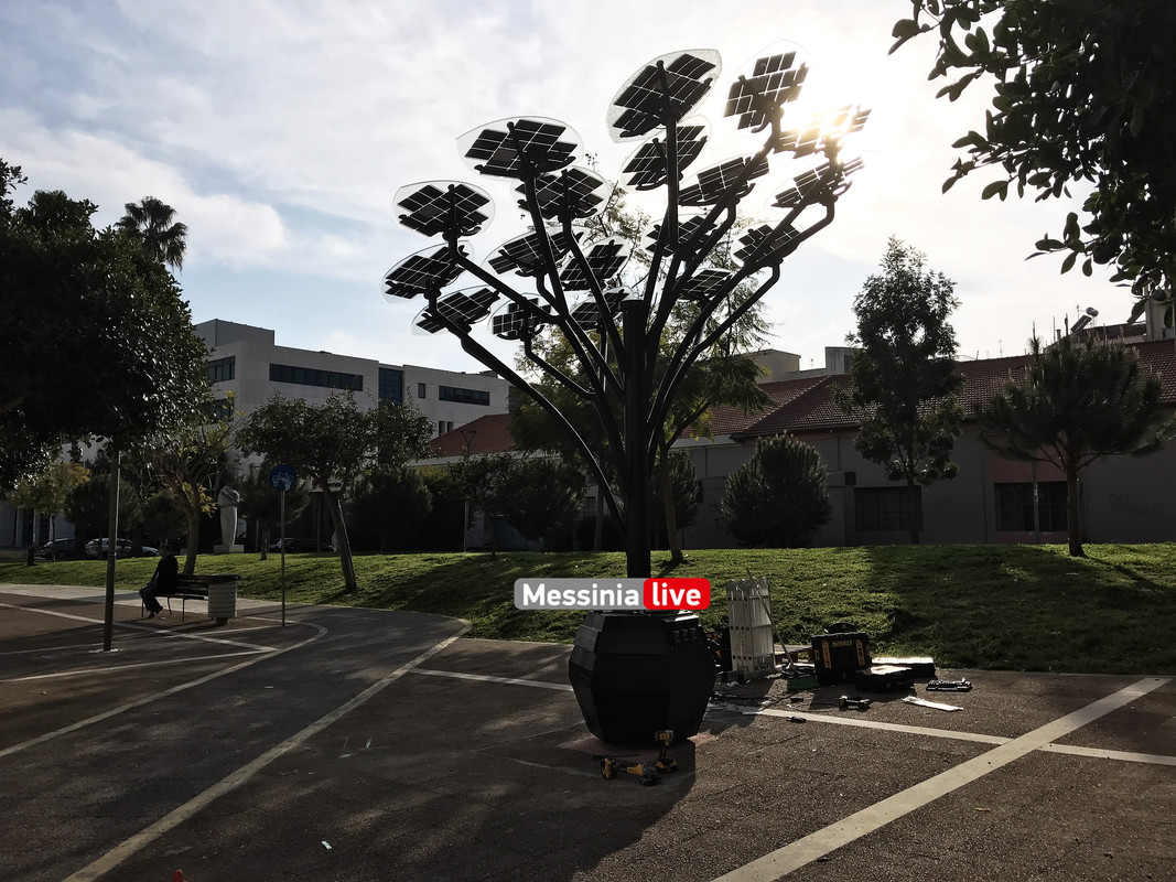 δεντροIMG_2814