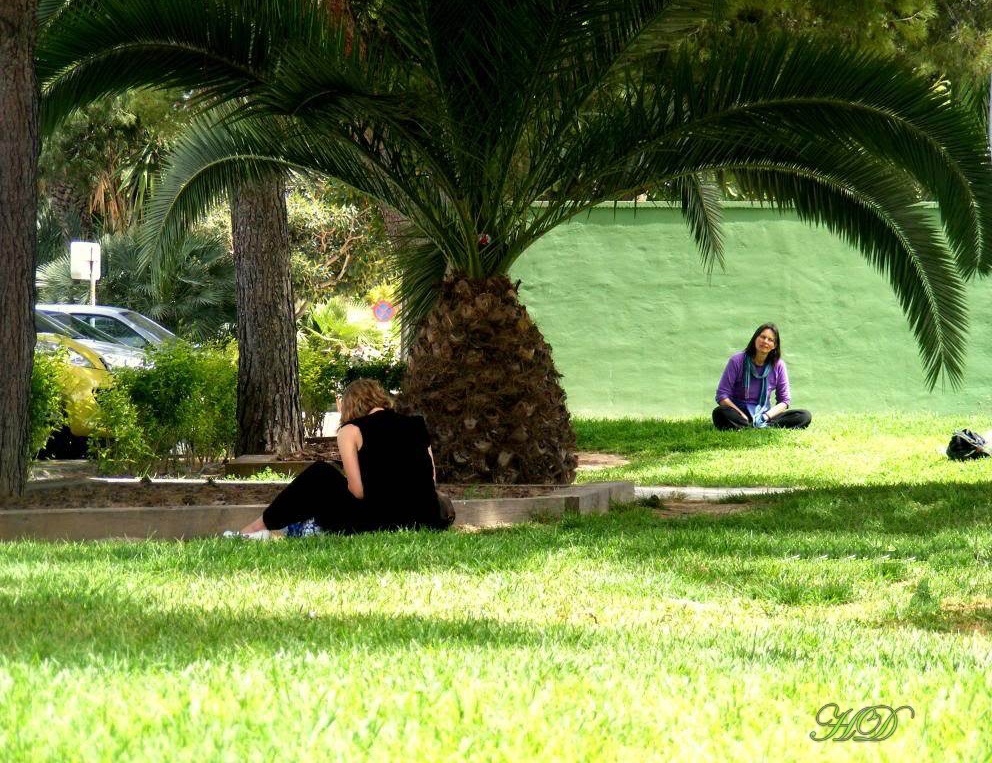 woman-green-grass-airport-HD.jpg