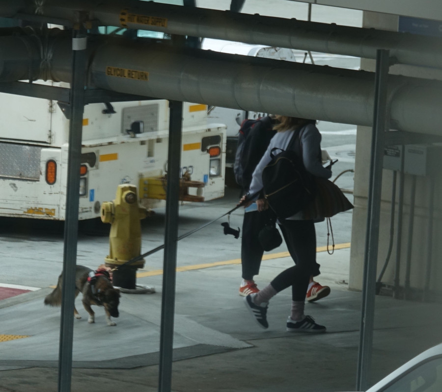 emmawatson-photogallery.blogspot.com (18)