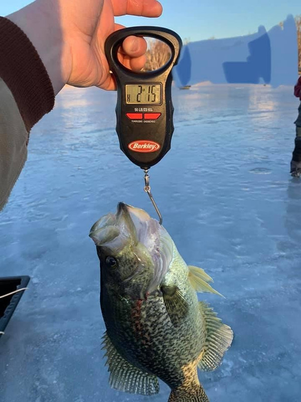 38017B6C-2B1C-4616-BAA2-B588C3B1C376