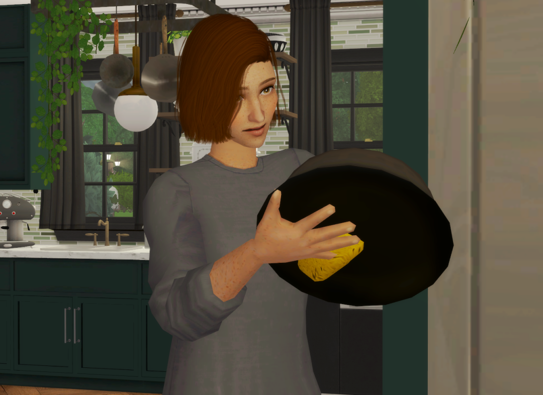 Sims2-EP9-RPC-2024-01-11-17-14-29-09