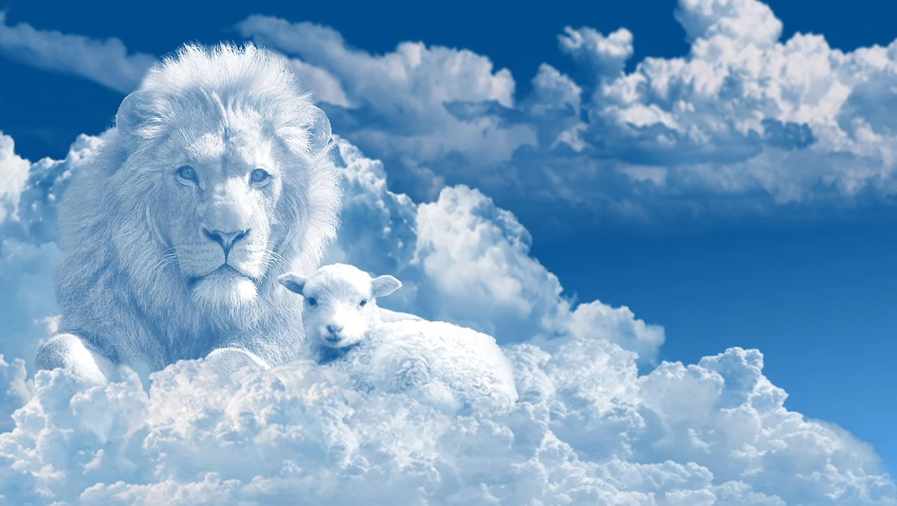 wite-lion-lamb-4336337-1280.webp