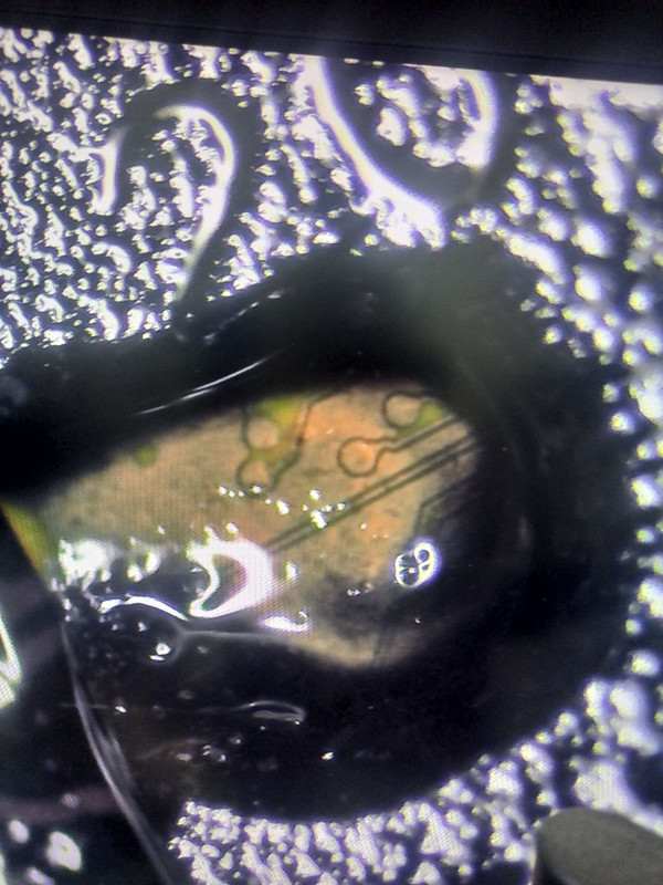 photo 2025 12 29 20 34 18