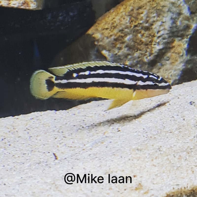 IMG_20220606_162917_851