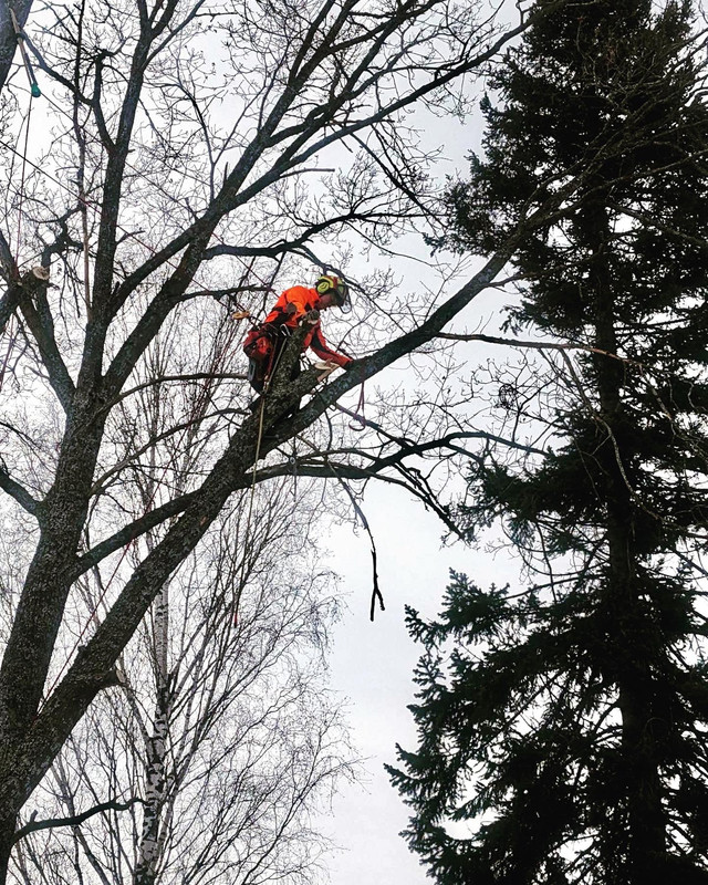 872B014D-9D72-4309-893E-D0FFC9F9A1FB