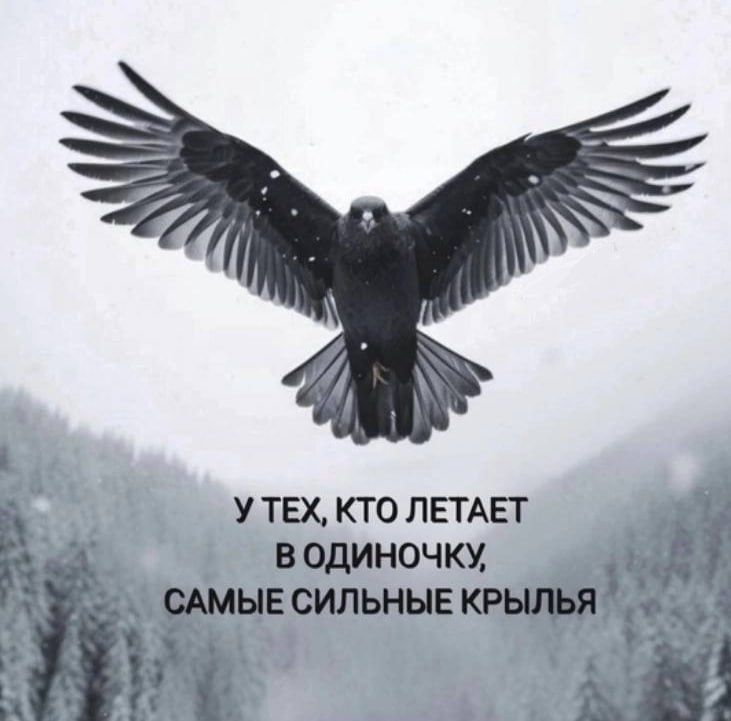 [Изображение: cb7b60a7afec0046e5a65684aaf2c765.jpg]