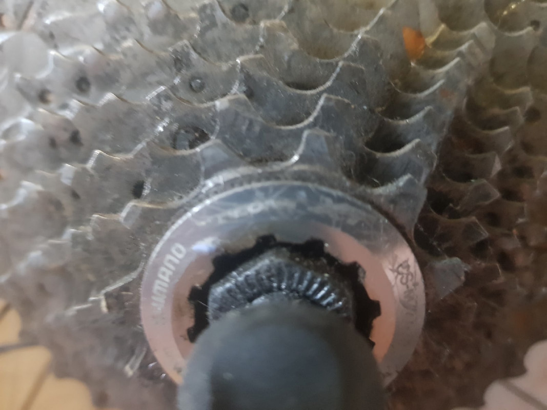 колесо заднее 5