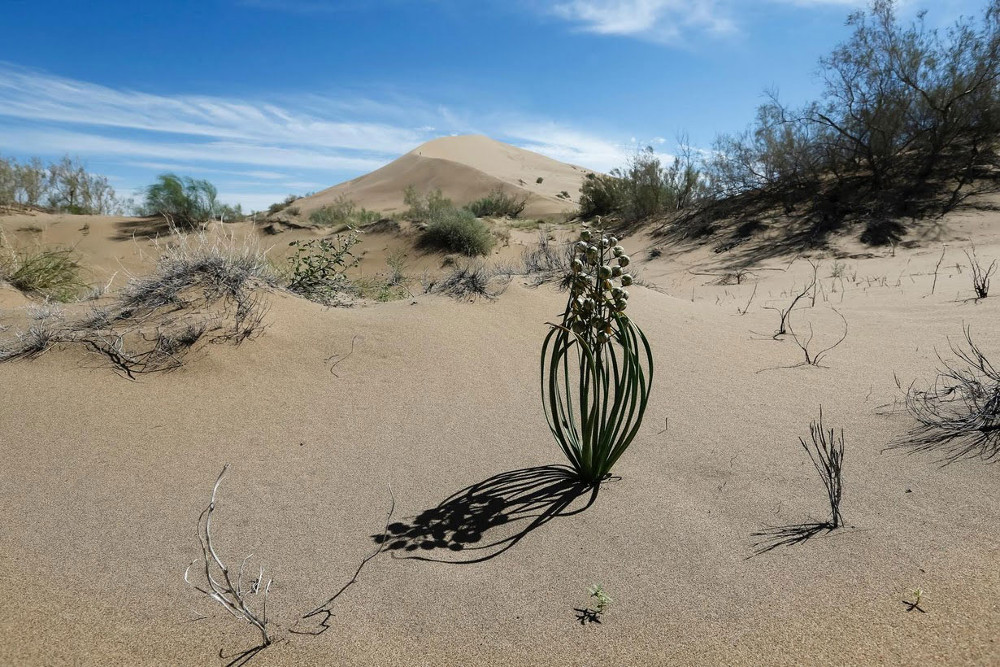 [Image: doi-cat-biet-hat-6.jpg]