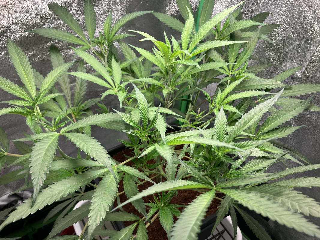 3508AA0E-9BDB-4C13-AD56-76A2067CC40E