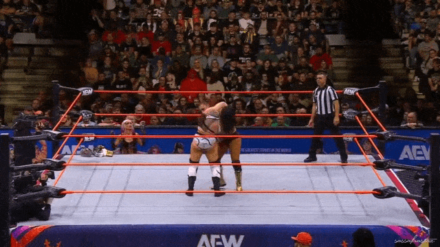 aew_20241030_kamille_v_statlander2