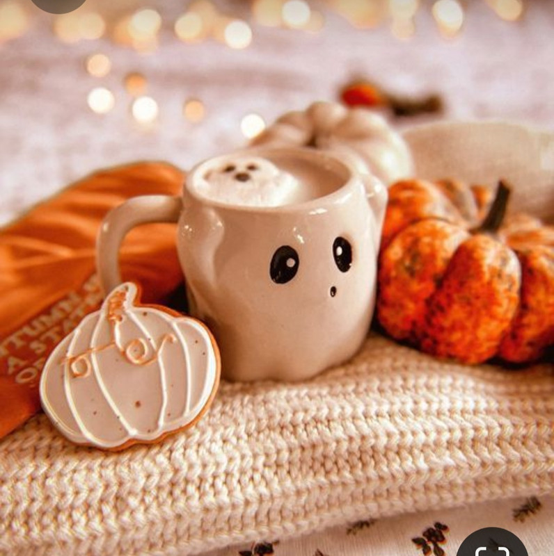 Screenshot_20231031_172309_Pinterest