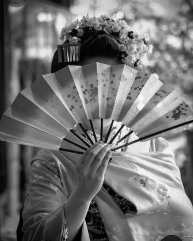 Screenshot_20240124_215404_Pinterest