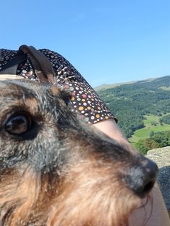 [Image: 08-2024.jpg]