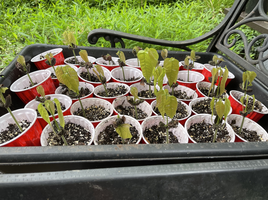 A78BEEA4-7614-47E3-9FA7-DF9582B4CE1C